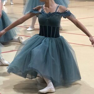 Elegant Blue/Green Ballet Tutu Dress